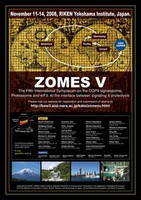 ZOMES V ���ۉ�c�|�X�^�[